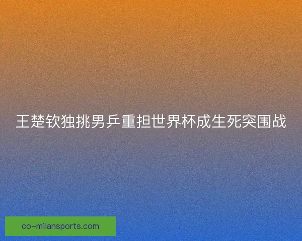 王楚钦独挑男乒重担世界杯成生死突围战